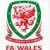 ผลบอล Wales FAW Championship